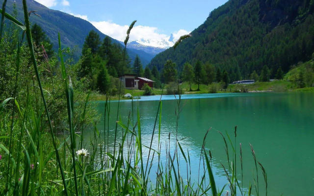 Aparthotel Monte Rosa - Täsch