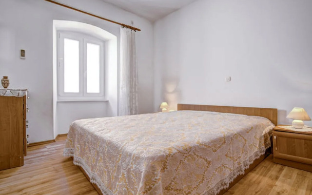 Apartment Branko Valfurva