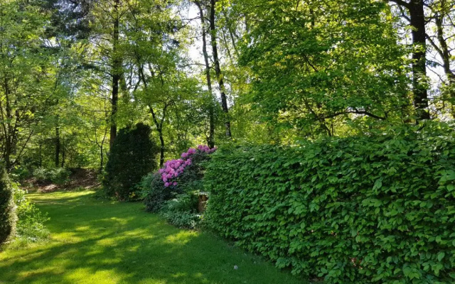 Bungalow Hartje Veluwe