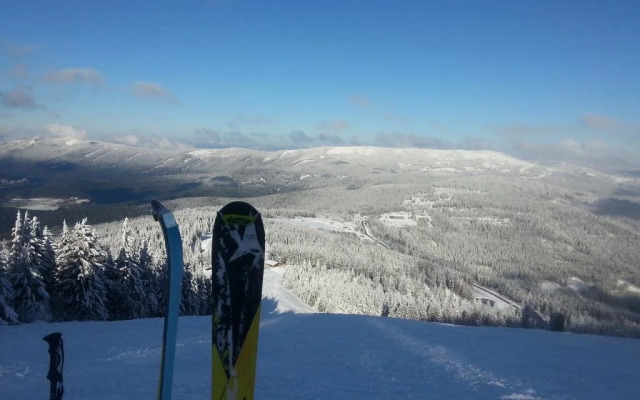 Arber Alm