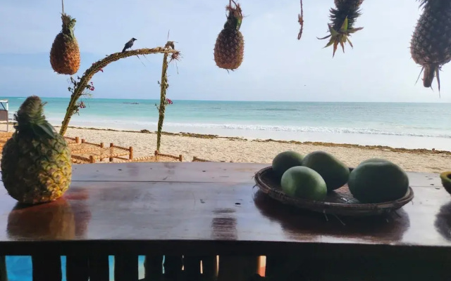 Two Palms