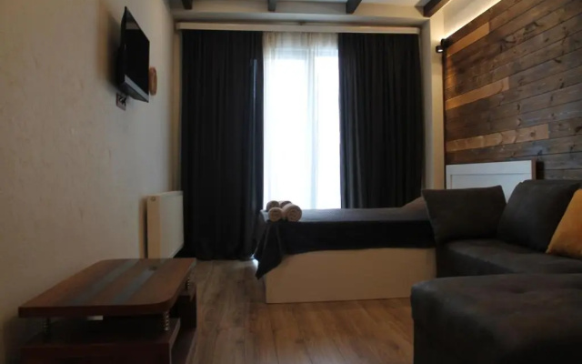 Cozy Apartment Near Gondola loft1