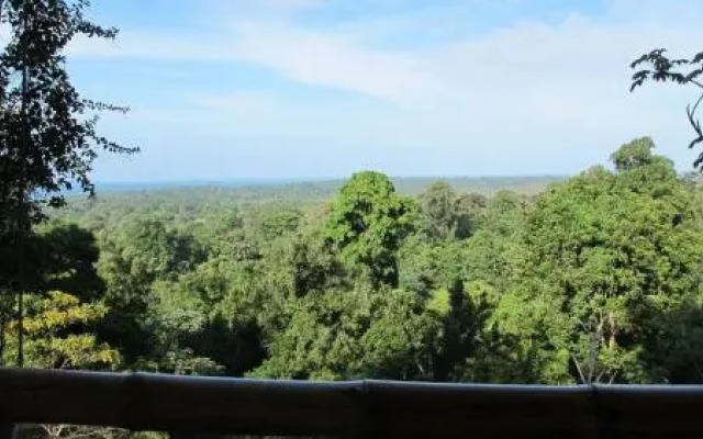 Nature Observatorio Amazing Treehouse