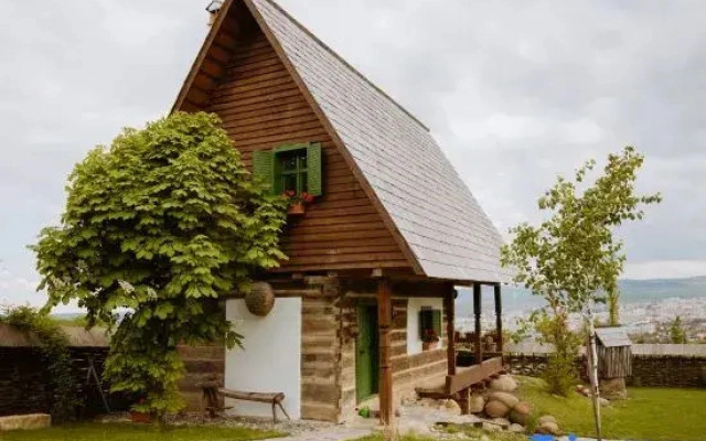 Echoes Of Vlădicu