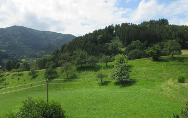 Wehrlemartinshof