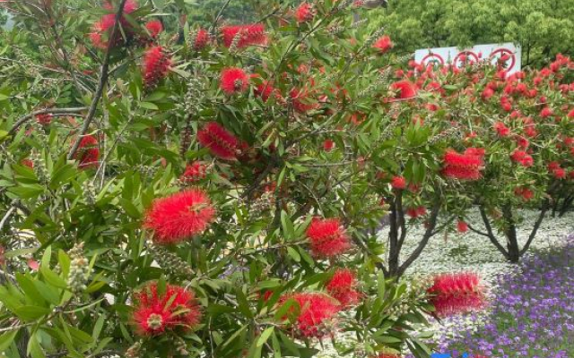 Putuo mountain zen edge inn