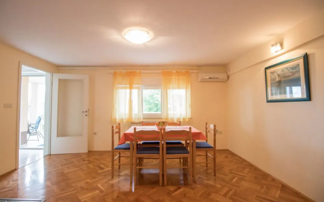Apartment Visnja