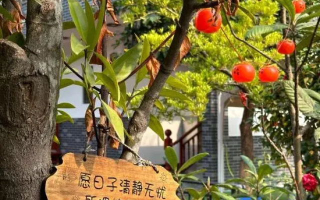Mount Luofu Liujiashan Homestay