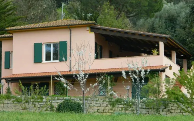 Madonna del Cedro