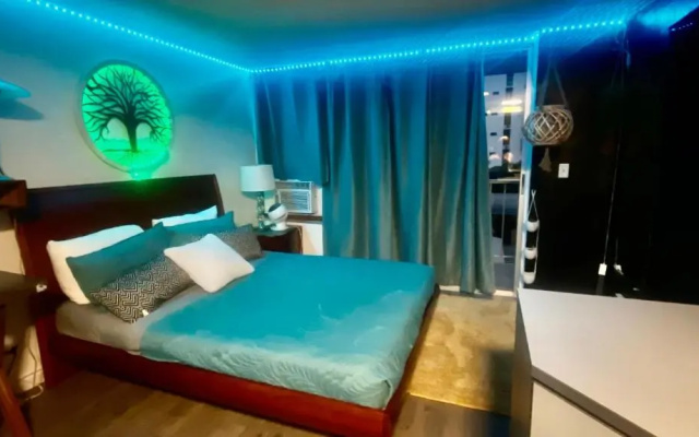 Lewers Studio Suite