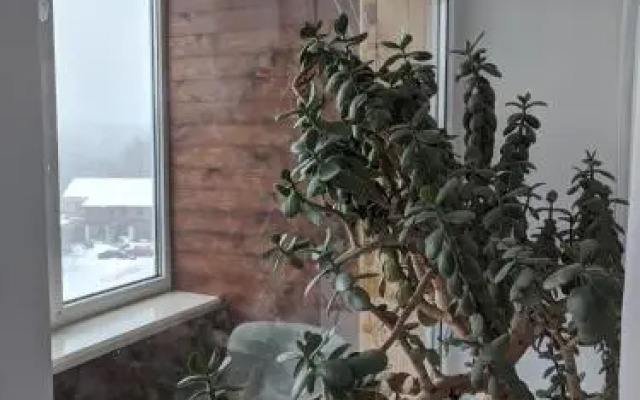 Apartment on Peremohy Avenue