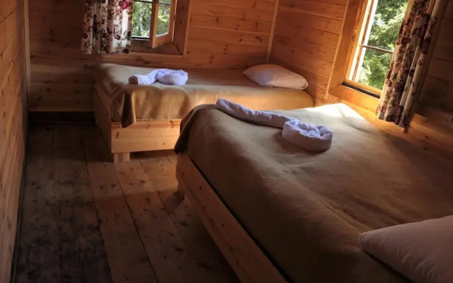 Tanevit Dag Evi