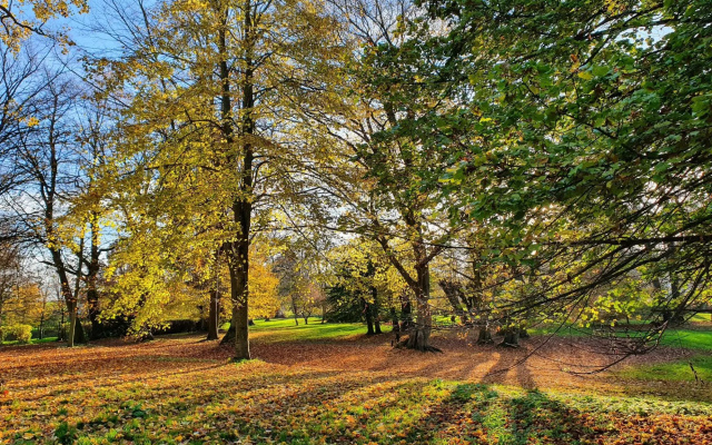 Einladende Ferienwohnung in Gerdshagen mit Garten