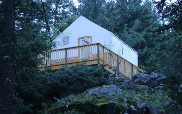 YD Guest Ranch