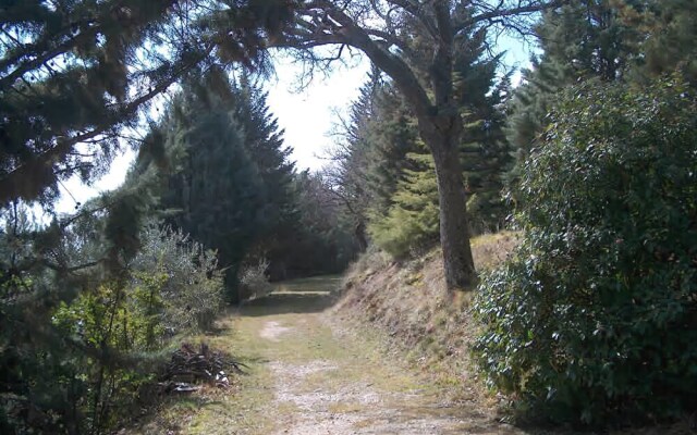 Borgo San Fortunato