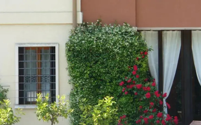Il Bagolaro