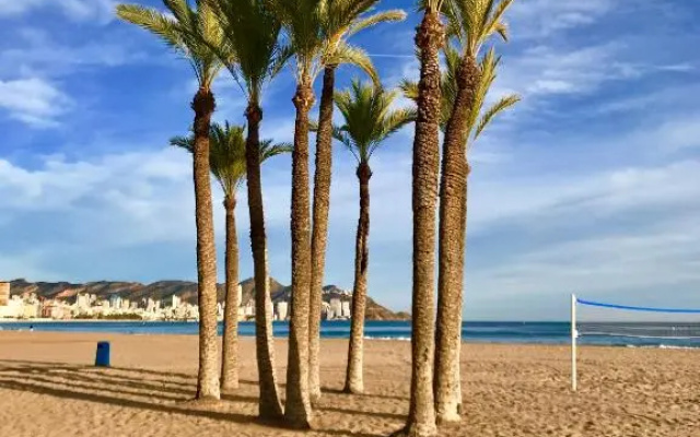 Neptuno on the Beach