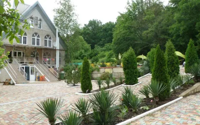 Кипарис