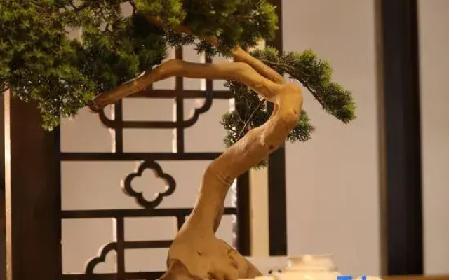 Zhenyuan Diezhuang Youyi Nan'an Homestay