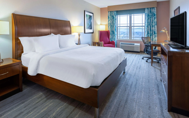 Hilton Garden Inn Roanoke