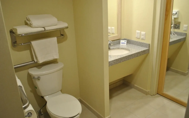 Holiday Inn Express Toluca by IHG