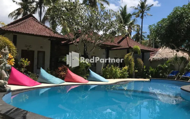 Coconut Village Guest House