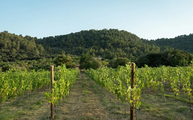 Rondaia Boutique Vineyard Stay – Mallorca, Tramuntana
