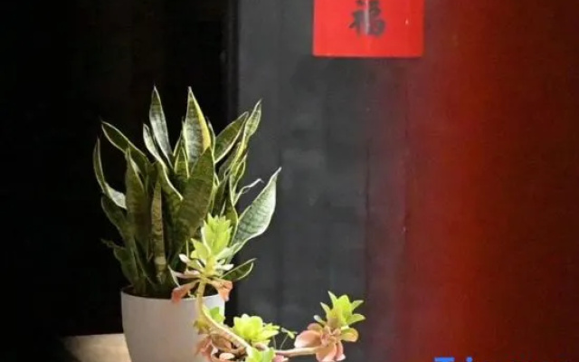 Qiaoju Ancient Homestay B&B, Shuitou, Kinmen