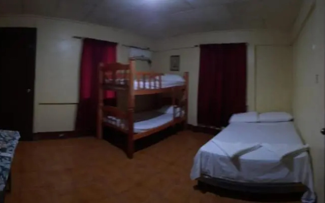 Tropical Dreams Hostel