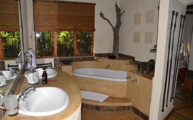 Moholoholo Forest Camp