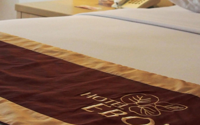 Hotel Ebony Batulicin