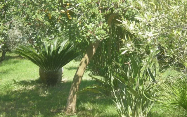 Residence SIsula Manna