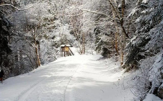 Log Cabin in Hasselfelde Near Harzer-hexen-stieg