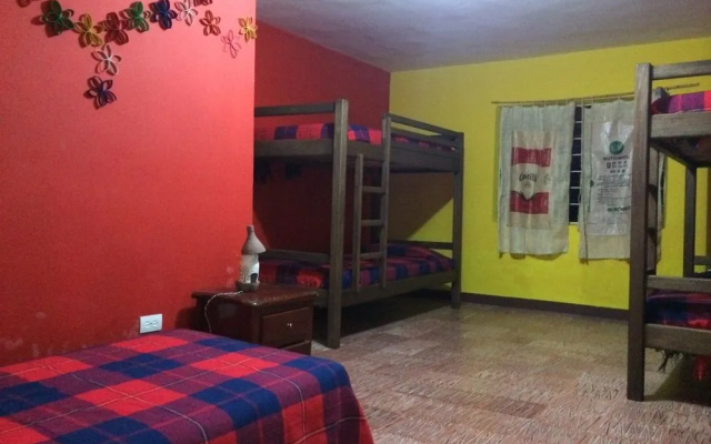 Golden Elephant Hostel