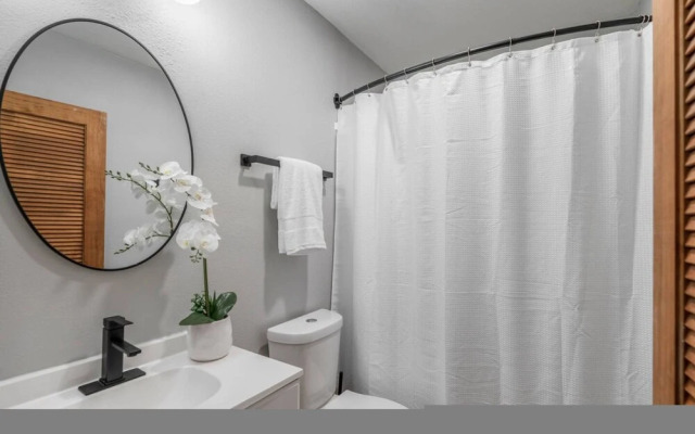 Houston Hideaway Near Dwntwn and City Attractions