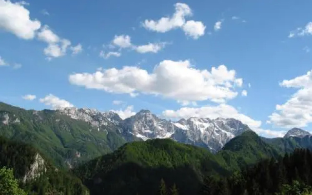 Guest House First Logarska Dolina