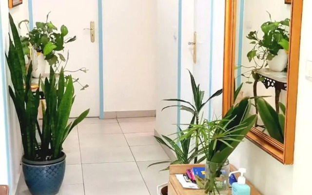 Home & Flower 2