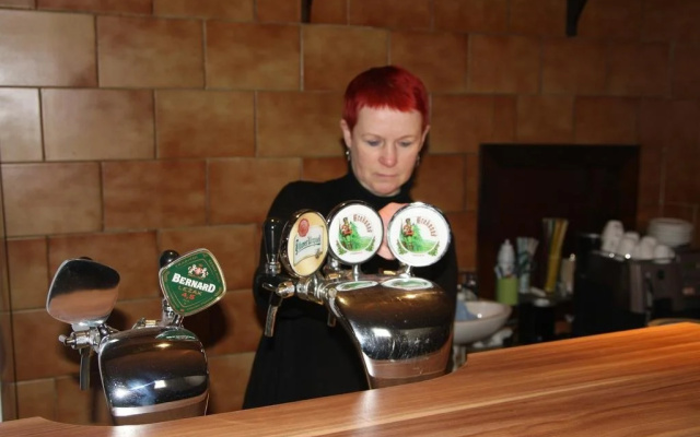 Hotel Bor