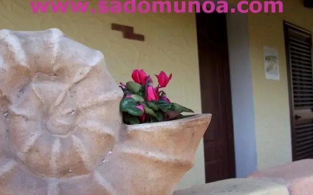 Sa Domu Noa