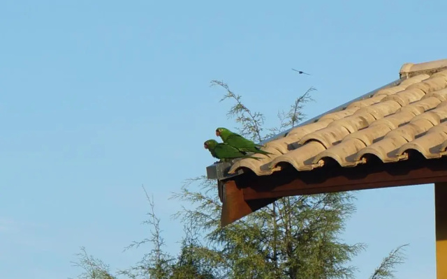Brotas Lodge