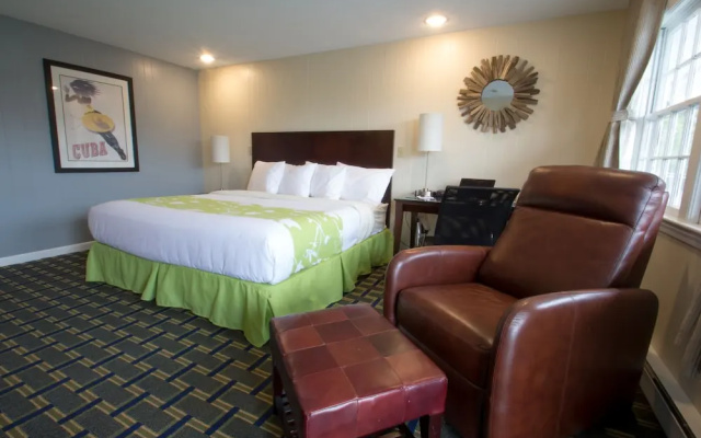 Freebird Motor Lodge by Reverie Boutique Collection