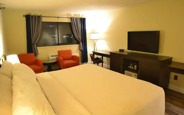 Hotel International