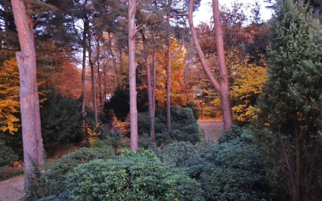 Ferienwohnung Kiefernblick-Wedemann