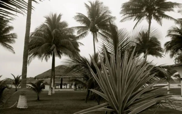 Casa Las Palmas