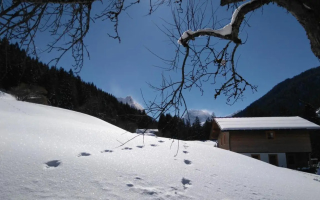 Neuberg Alm