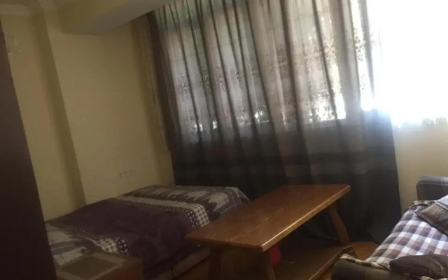 Apt pekini 1