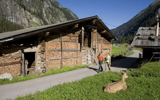 Apartment in Mayrhofen With Garden