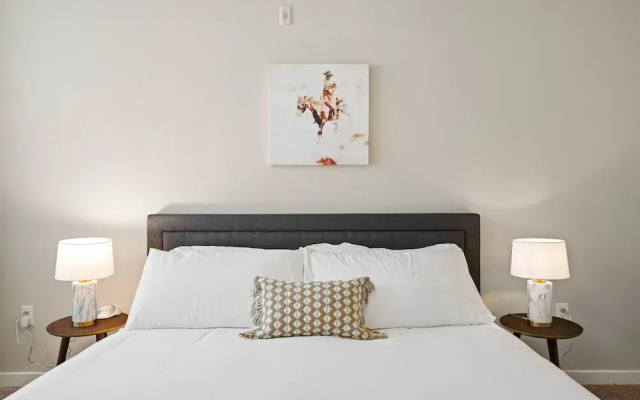 Dallas Beautiful 1BD 1BA Downtown Apartment