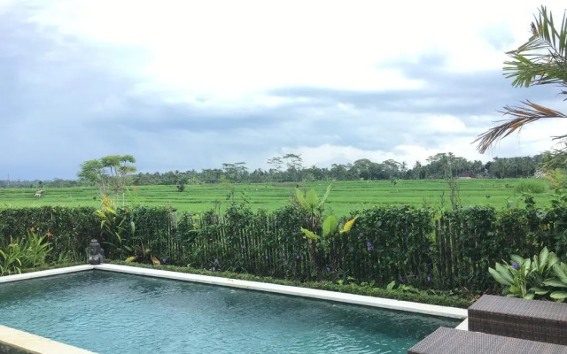Ubud Rice Field Villa