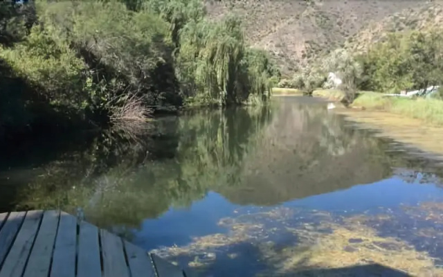 Cango Waterfront Cabins